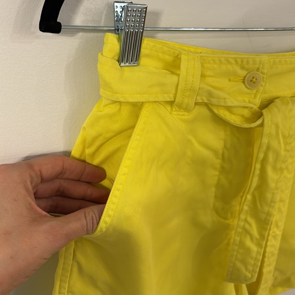 Aritzia Wilfred Free belted high waisted shorts - Picture 5 of 13